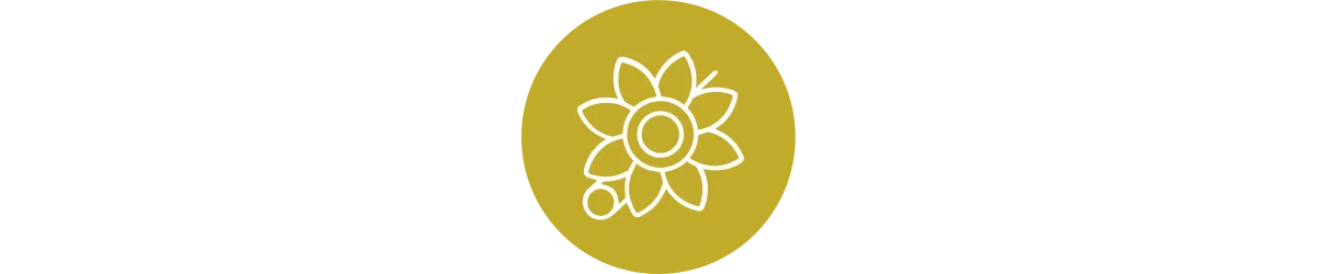 Brooches