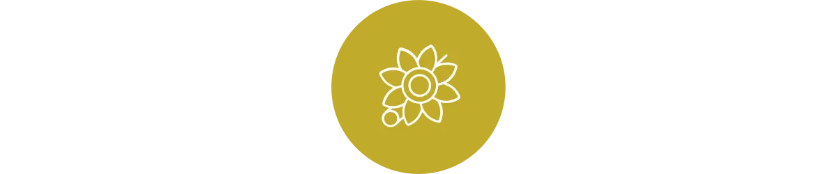Medals & Brooches