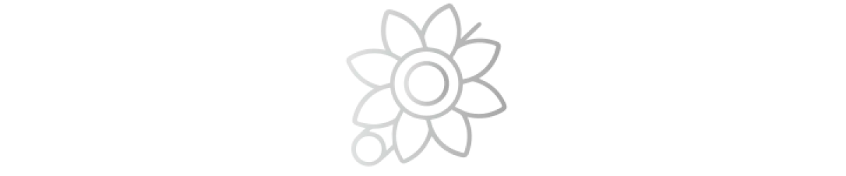 Brooches
