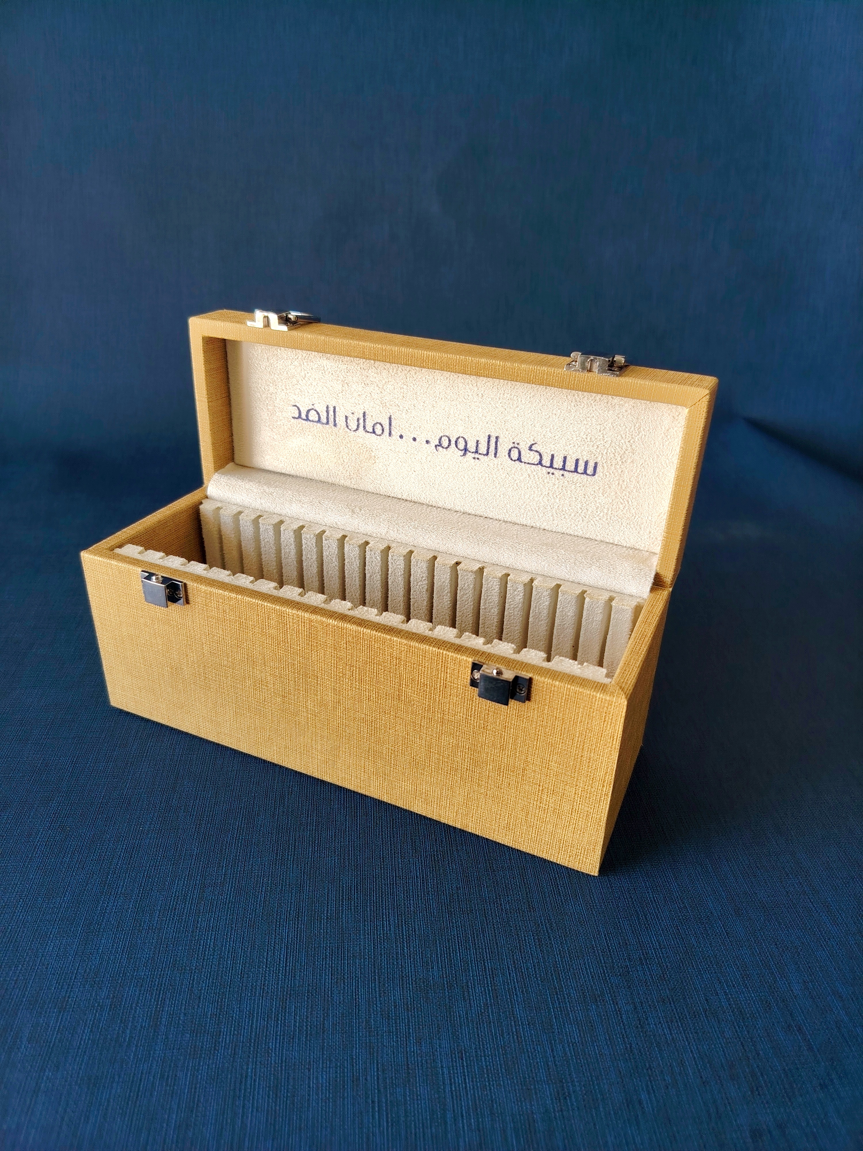 Bullion storage box (20 bars) - (L-7) Bullion storage box (20 bars) - (L-7)